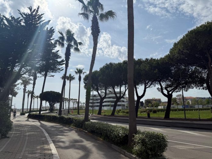 Foto lungomare censimento arboreo