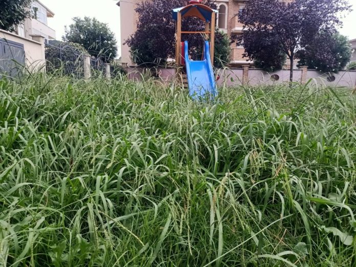 scivolo ricoperto da erba