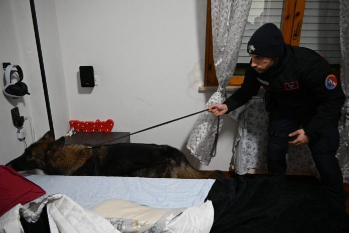 operazione senza quartiere