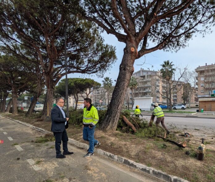 Foto sindaco e ditta cura del verde montesilvano maxi piano di manutenzione