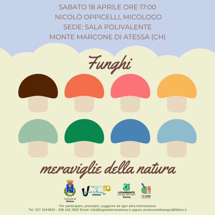 Incontro Funghi meraviglie della natura